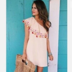 Piper Java Ruffled One Shoulder Tassel Embroidered Mini Dress size L